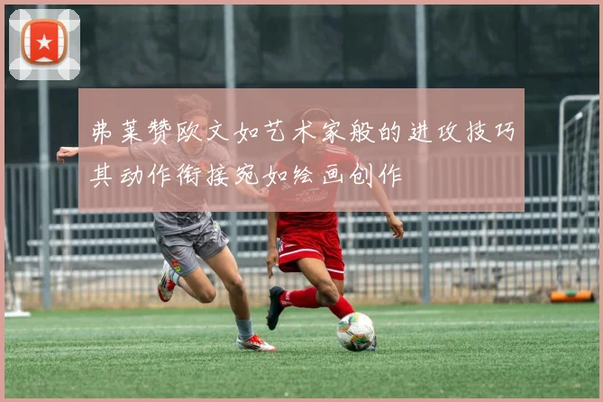 弗莱赞欧文如艺术家般的进攻技巧其动作衔接宛如绘画创作